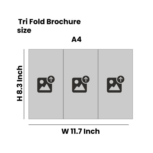 Brochure Tri Fold - A4 Size