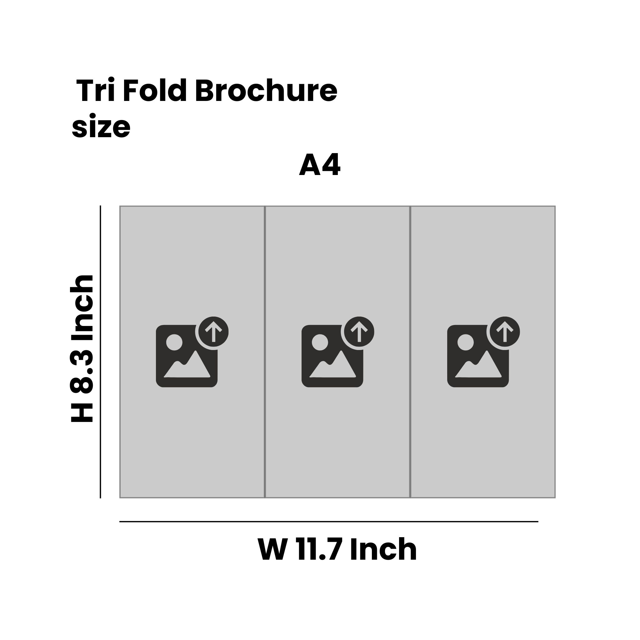 Brochure Tri Fold – A4 Size